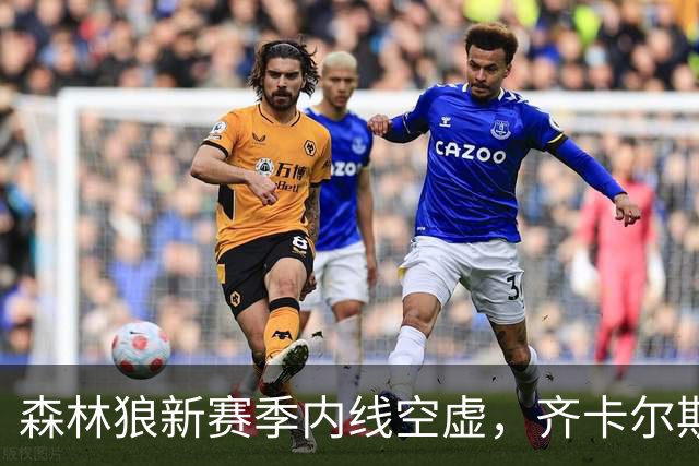 森林狼新赛季内线空虚，齐卡尔斯基需要抓住机会
