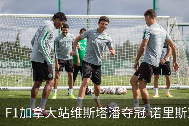 F1加拿大站维斯塔潘夺冠 诺里斯亚军 法拉利双退